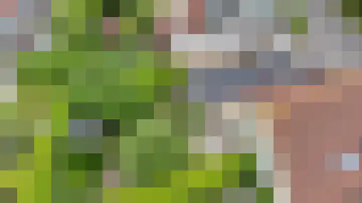 De Bredase Hunt 10 Dronten thumbnail 55