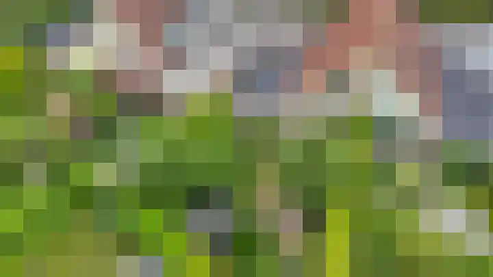 De Bredase Hunt 10 Dronten thumbnail 56