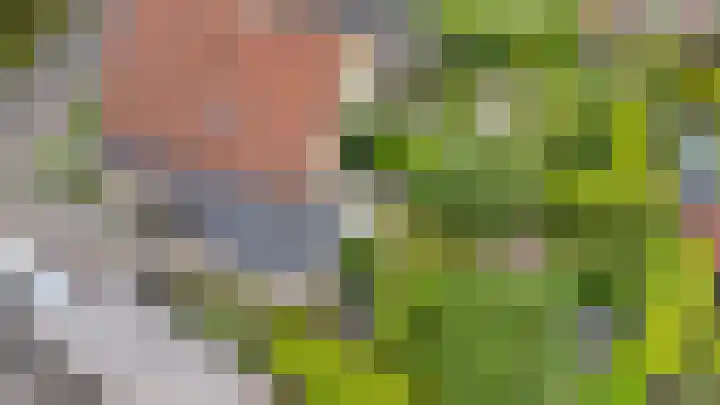 De Bredase Hunt 10 Dronten thumbnail 57
