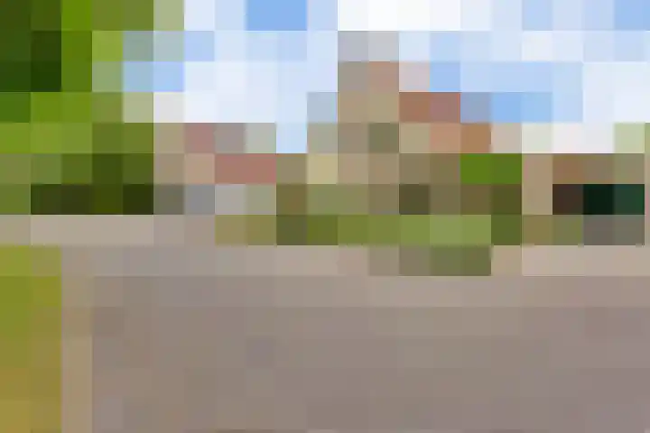 De Bredase Hunt 10 Dronten thumbnail 6