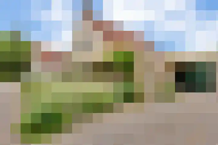 De Bredase Hunt 10 Dronten thumbnail 7