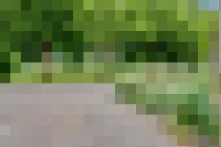 De Bredase Hunt 10 Dronten thumbnail 8