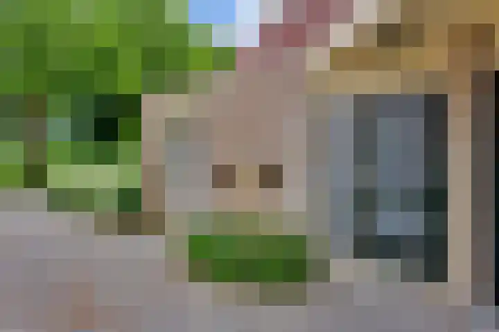 De Bredase Hunt 10 Dronten thumbnail 9