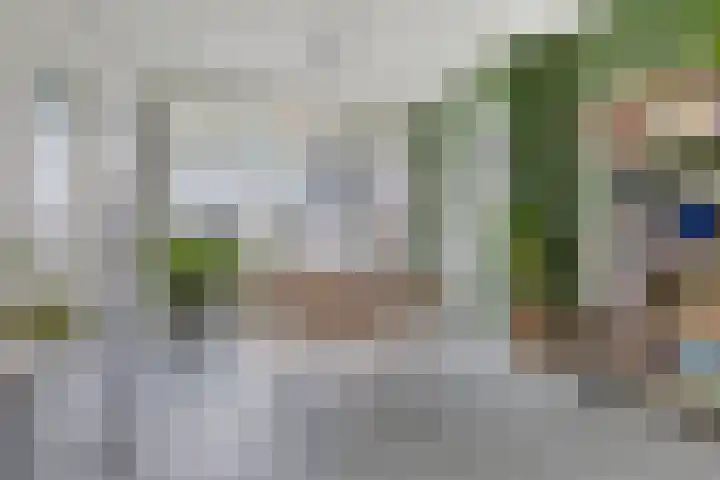 De Bredase Hunt 12 Dronten thumbnail 10