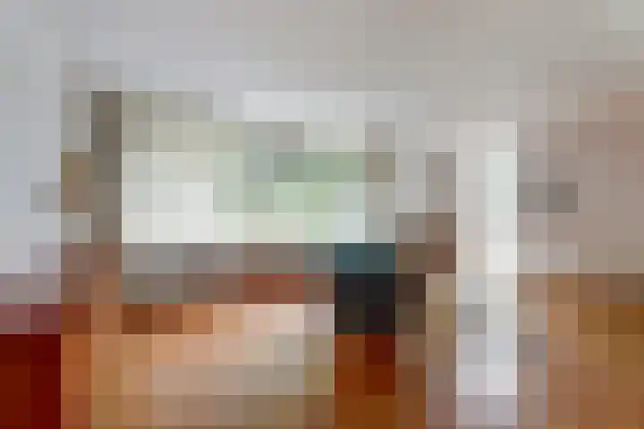 De Bredase Hunt 12 Dronten thumbnail 10