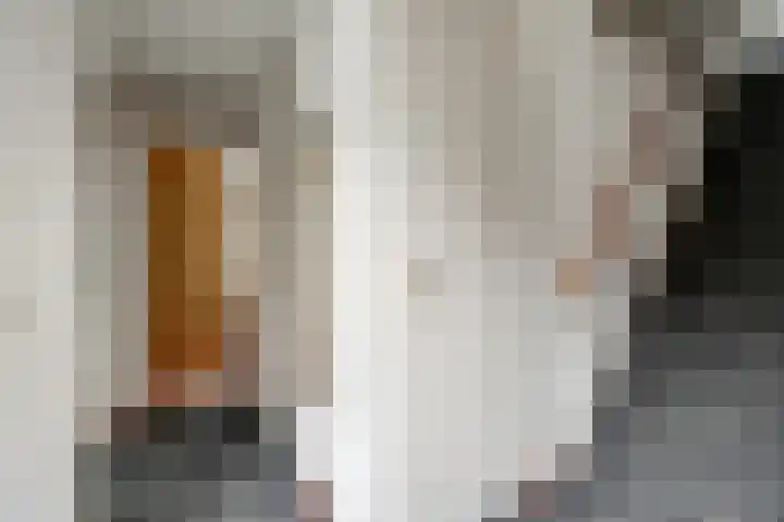 De Bredase Hunt 12 Dronten thumbnail 17