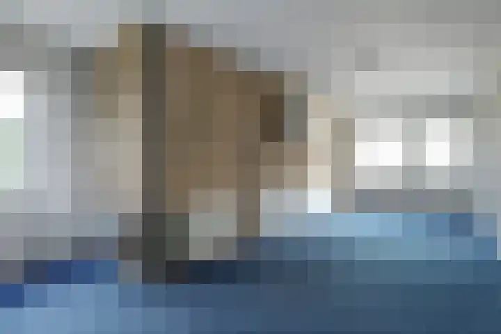 De Bredase Hunt 12 Dronten thumbnail 23