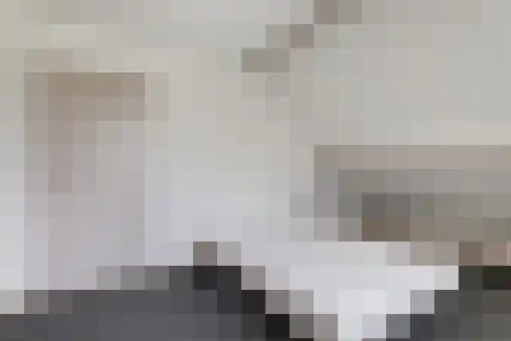 De Bredase Hunt 12 Dronten thumbnail 25