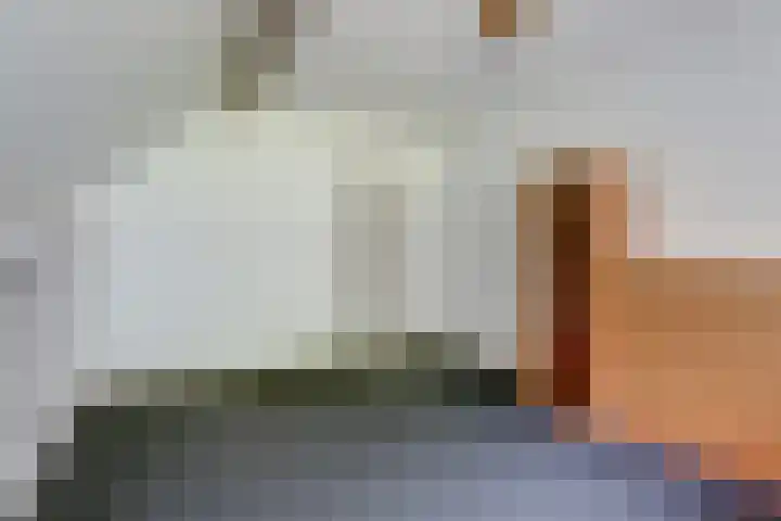 De Bredase Hunt 12 Dronten thumbnail 29