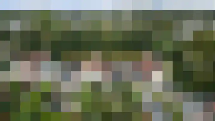 De Bredase Hunt 12 Dronten thumbnail 32