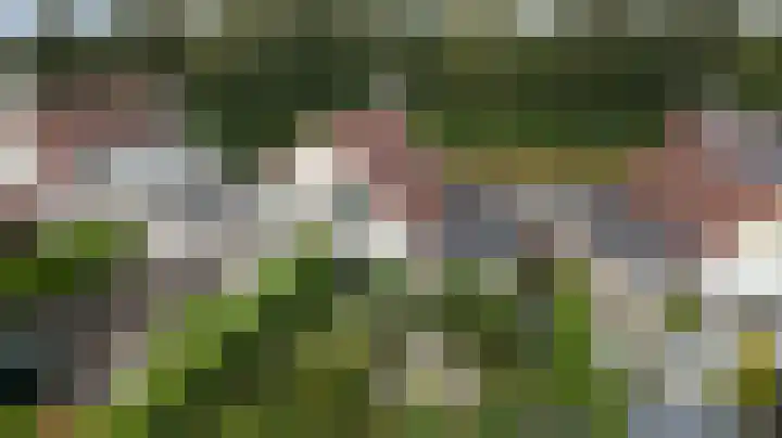 De Bredase Hunt 12 Dronten thumbnail 33