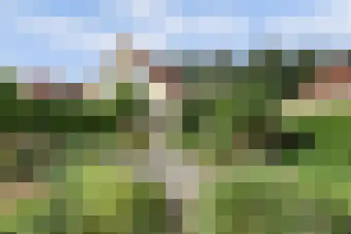 De Bredase Hunt 12 Dronten thumbnail 34