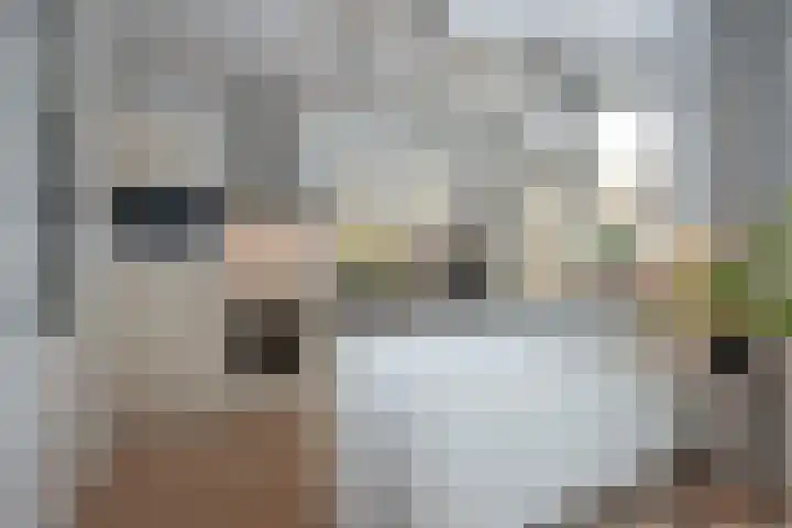 De Bredase Hunt 12 Dronten thumbnail 35