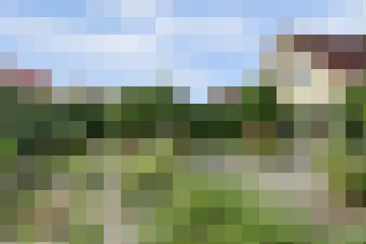 De Bredase Hunt 12 Dronten thumbnail 35