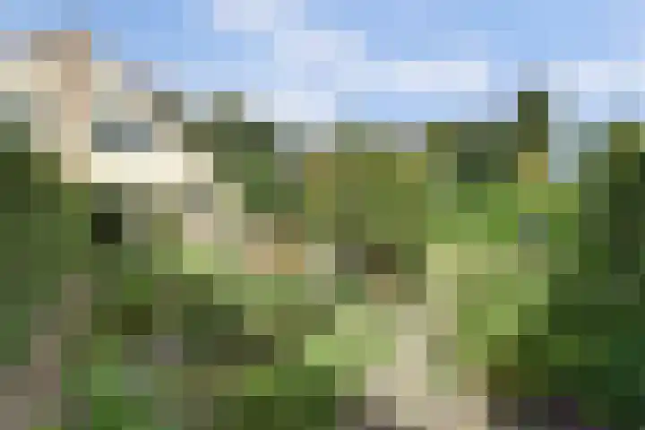 De Bredase Hunt 12 Dronten thumbnail 36