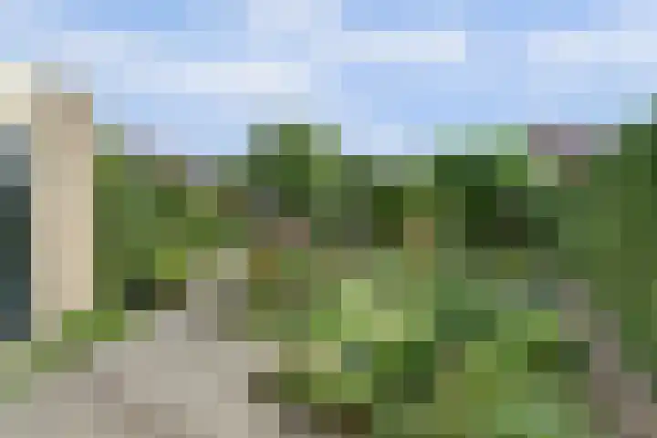 De Bredase Hunt 12 Dronten thumbnail 37