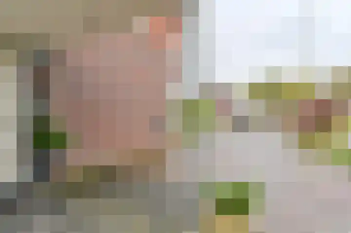 De Bredase Hunt 12 Dronten thumbnail 4