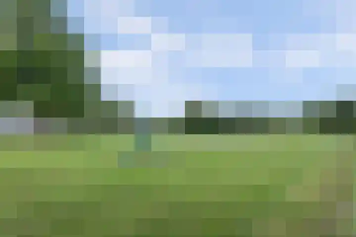 De Bredase Hunt 12 Dronten thumbnail 40