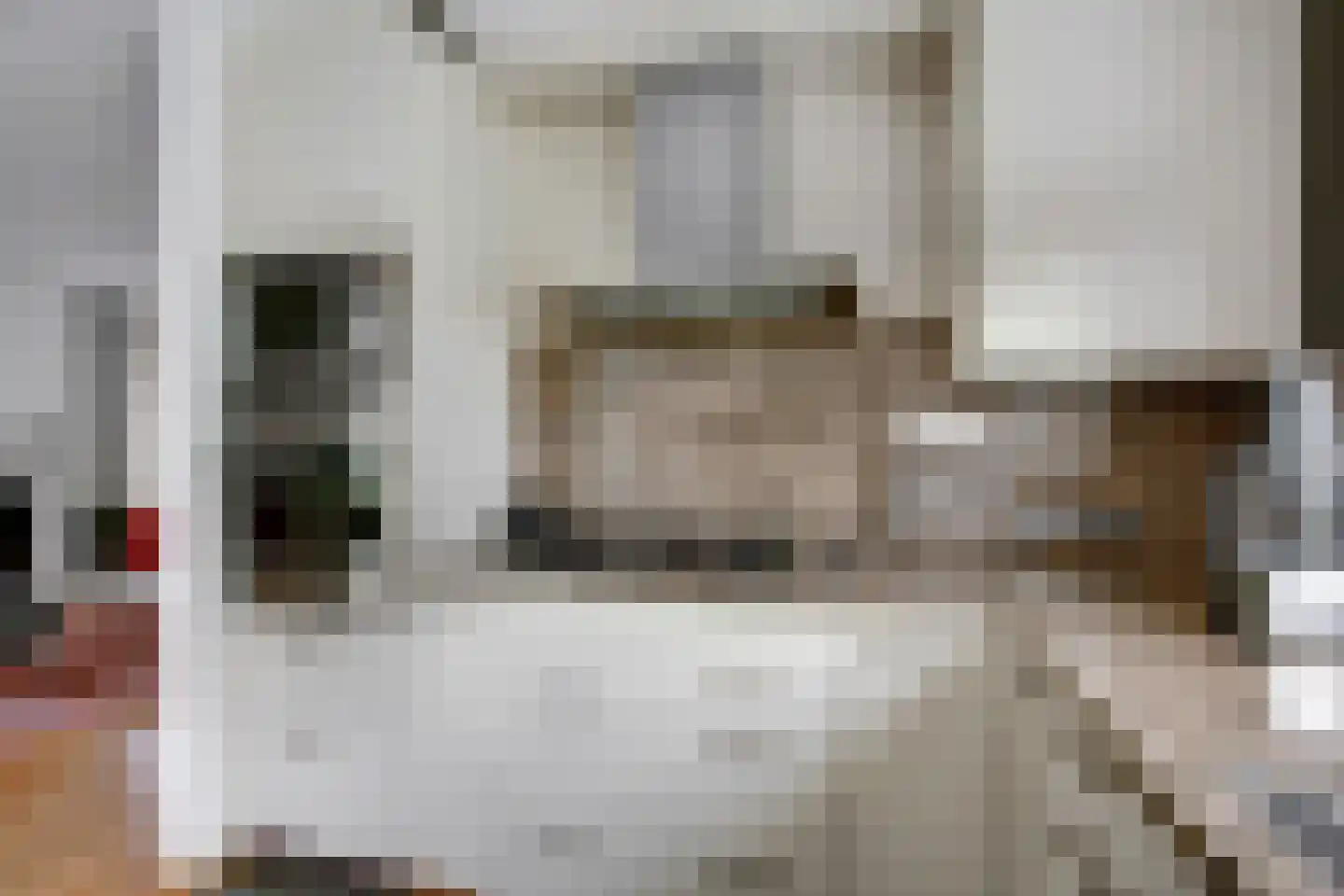 De Bredase Hunt 9 Dronten thumbnail 14