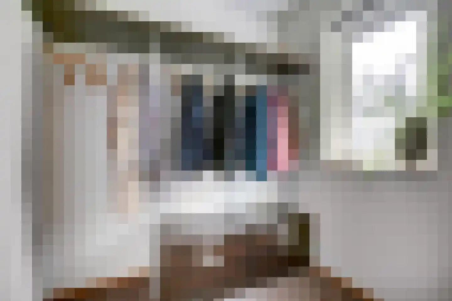 De Bredase Hunt 9 Dronten thumbnail 23
