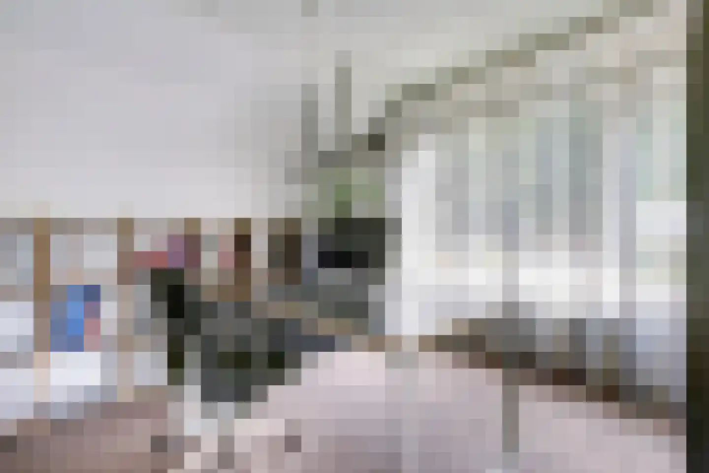 De Bredase Hunt 9 Dronten thumbnail 24