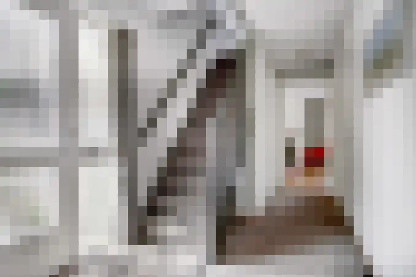 De Bredase Hunt 9 Dronten thumbnail 27