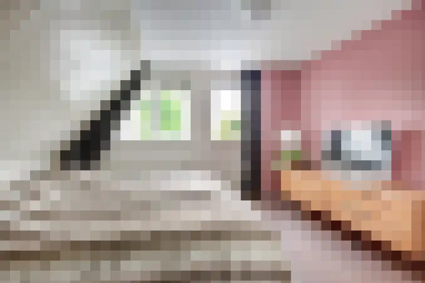 De Bredase Hunt 9 Dronten thumbnail 30