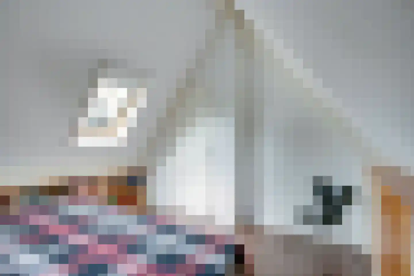 De Bredase Hunt 9 Dronten thumbnail 37