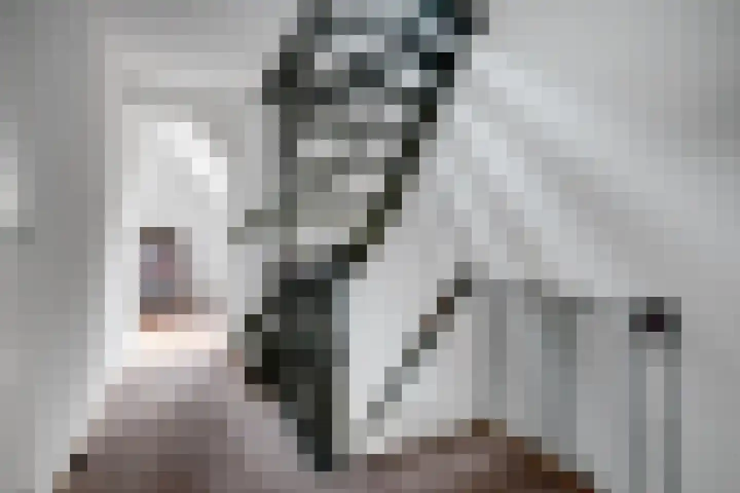 De Bredase Hunt 9 Dronten thumbnail 38