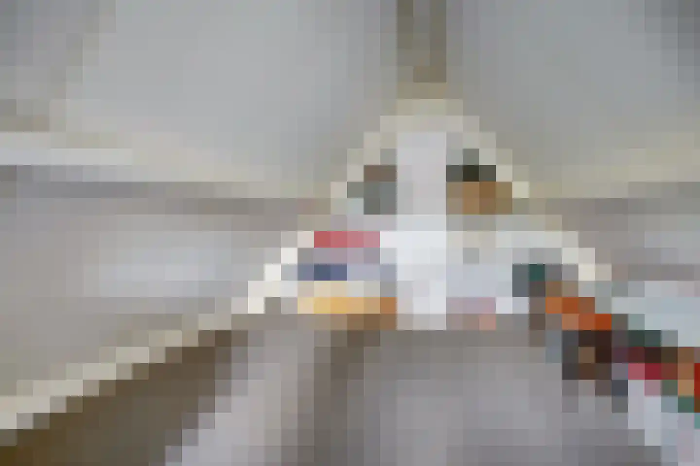 De Bredase Hunt 9 Dronten thumbnail 39