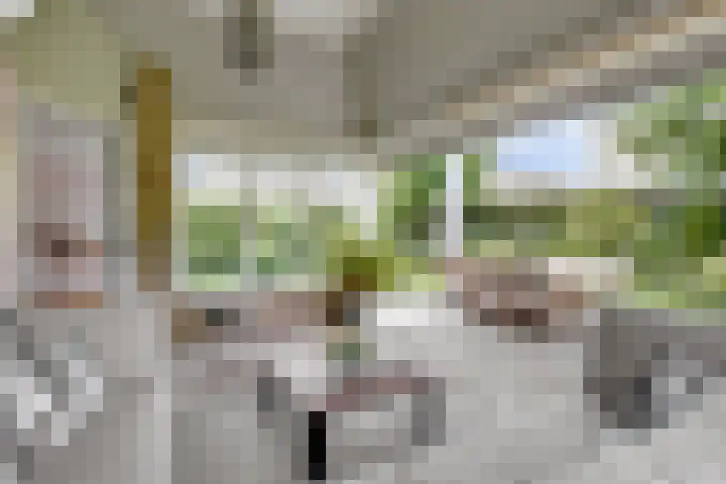 De Bredase Hunt 9 Dronten thumbnail 42