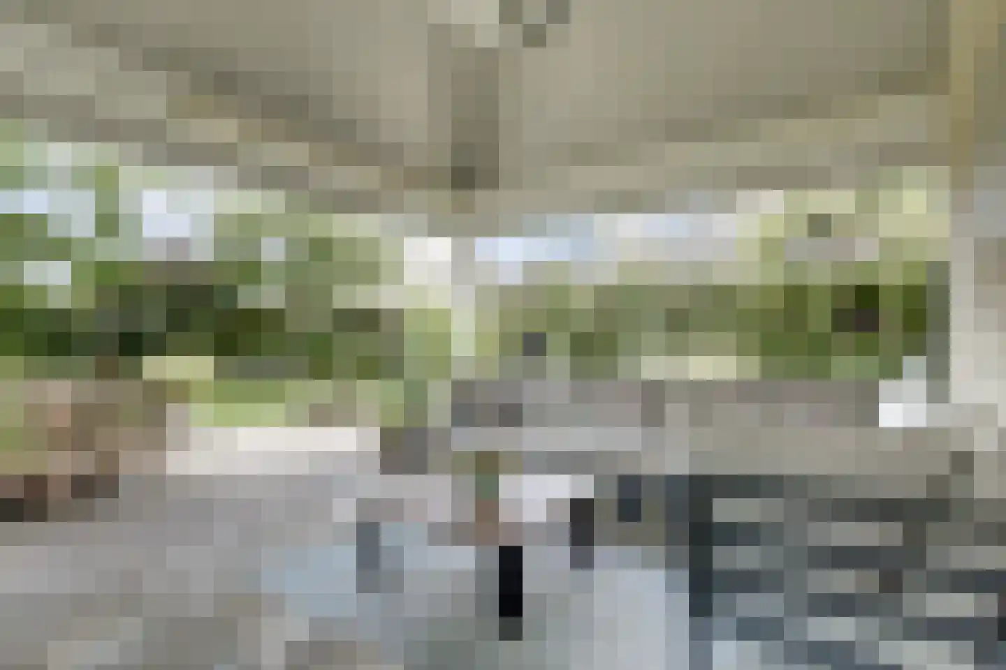 De Bredase Hunt 9 Dronten thumbnail 43