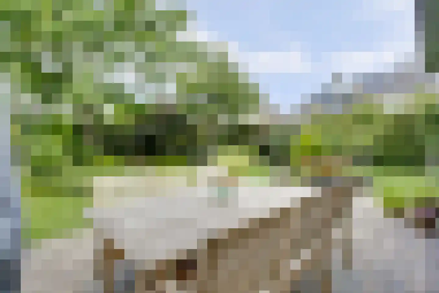 De Bredase Hunt 9 Dronten thumbnail 45