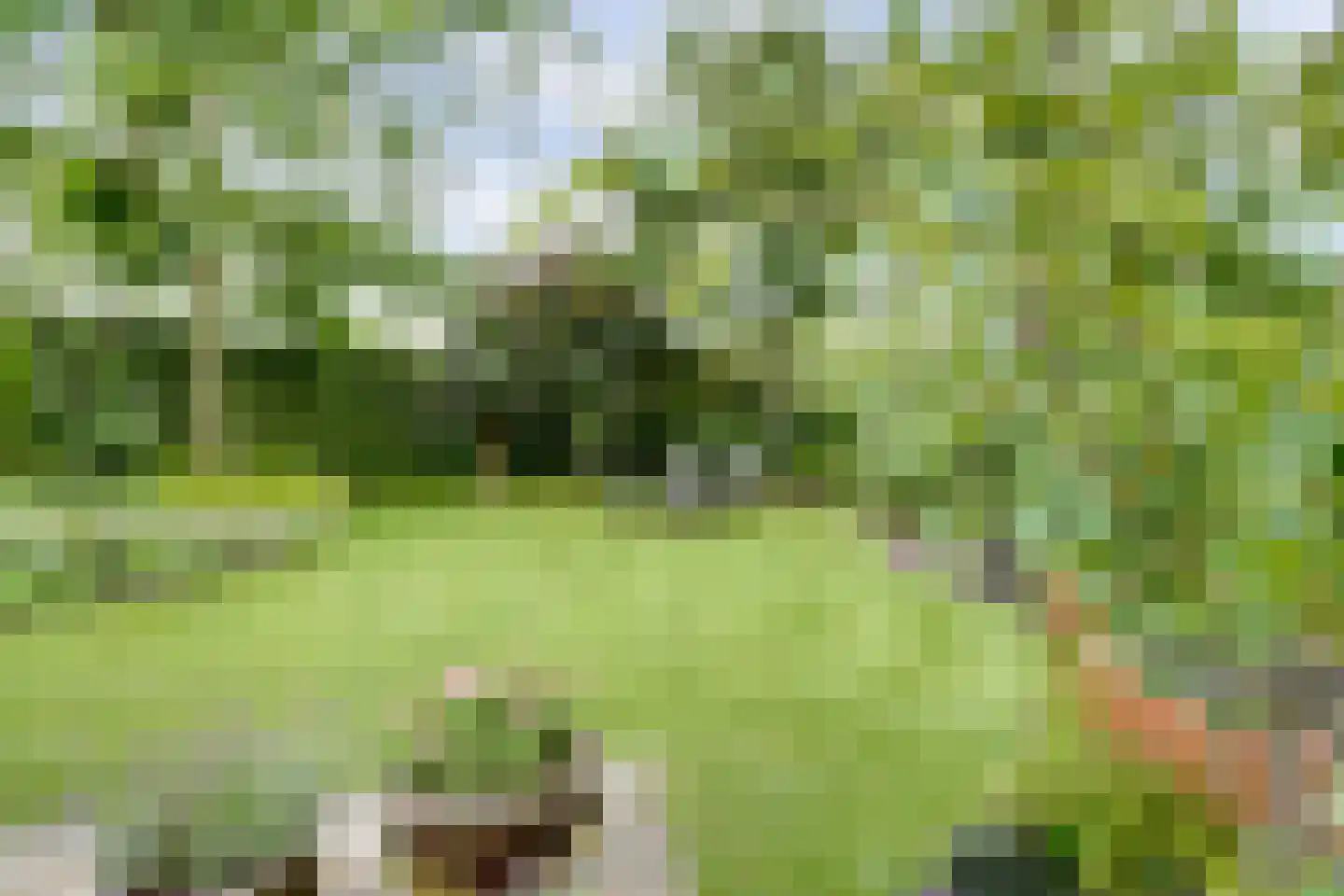 De Bredase Hunt 9 Dronten thumbnail 46