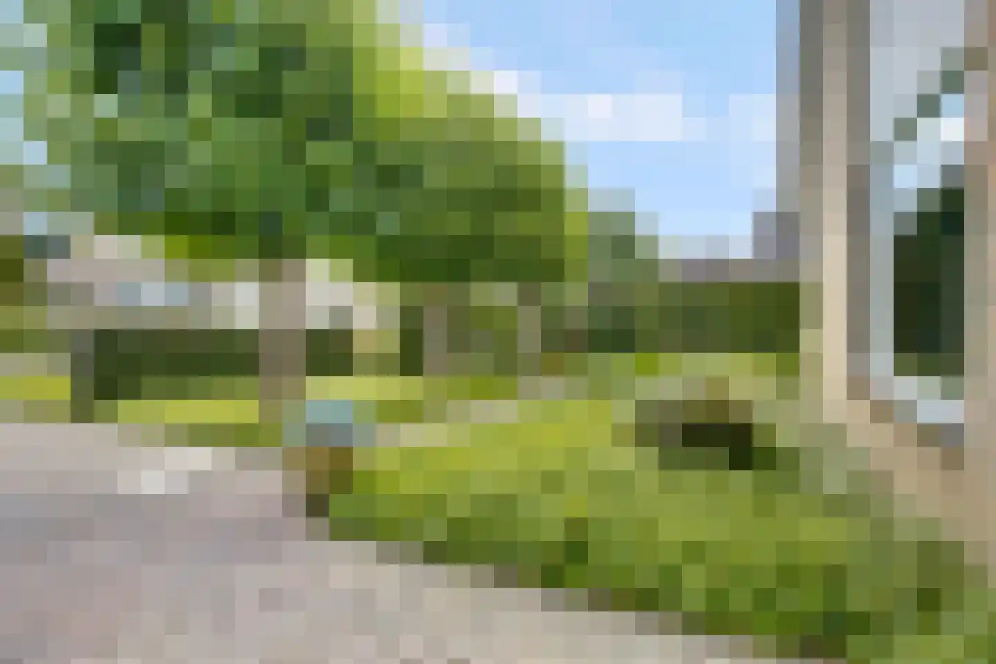 De Bredase Hunt 9 Dronten thumbnail 5