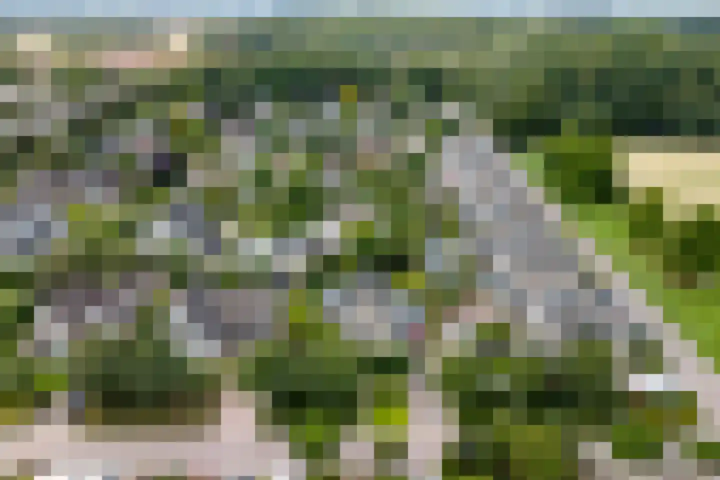 De Bredase Hunt 9 Dronten thumbnail 52
