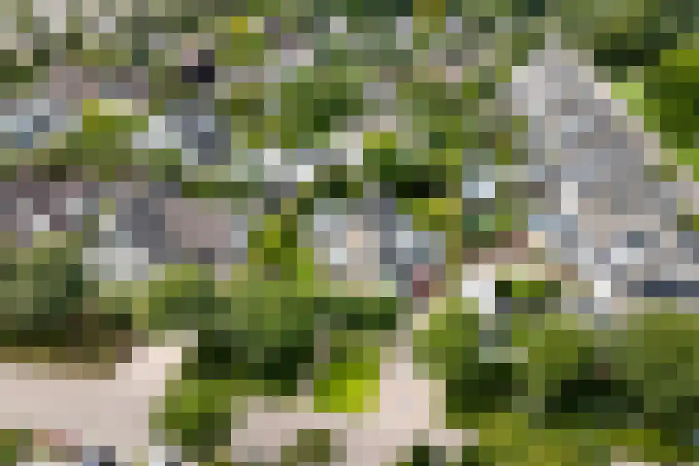 De Bredase Hunt 9 Dronten thumbnail 53