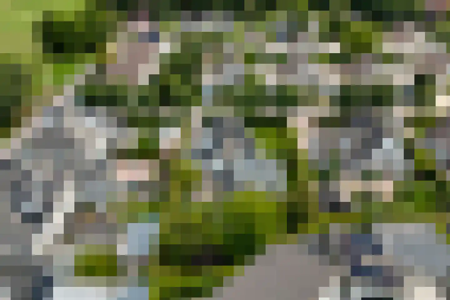 De Bredase Hunt 9 Dronten thumbnail 55