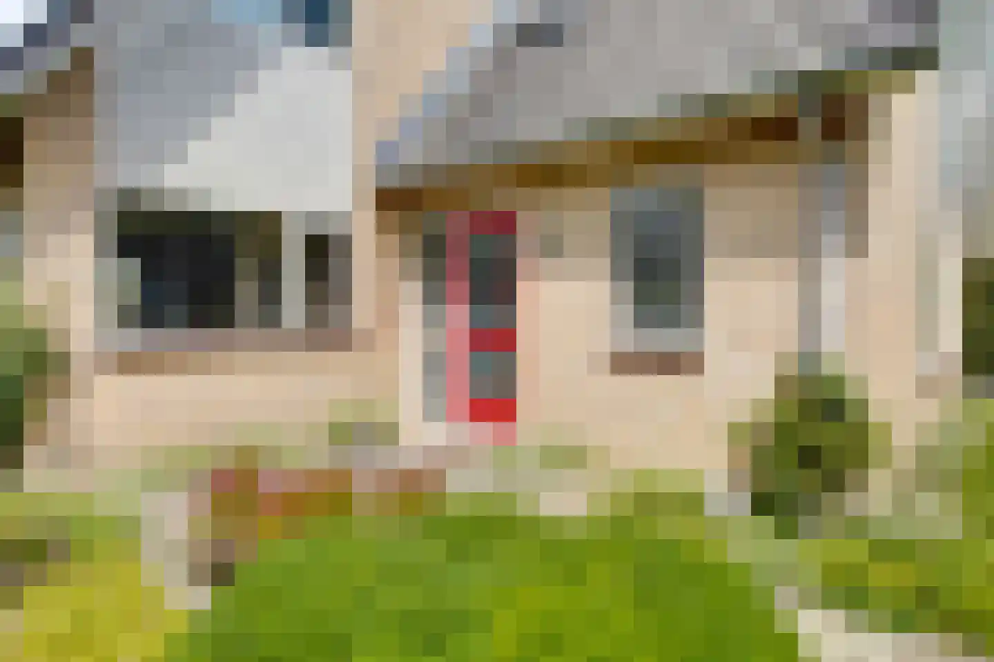 De Bredase Hunt 9 Dronten thumbnail 6
