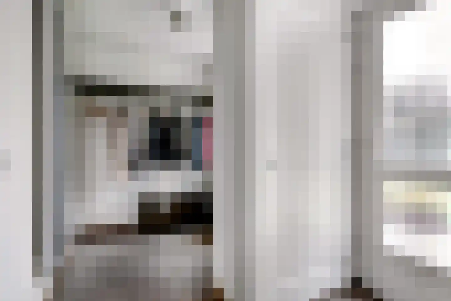 De Bredase Hunt 9 Dronten thumbnail 7