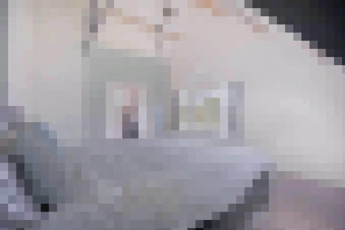 De Bree 23 Nieuwerbrug aan den Rijn thumbnail 32