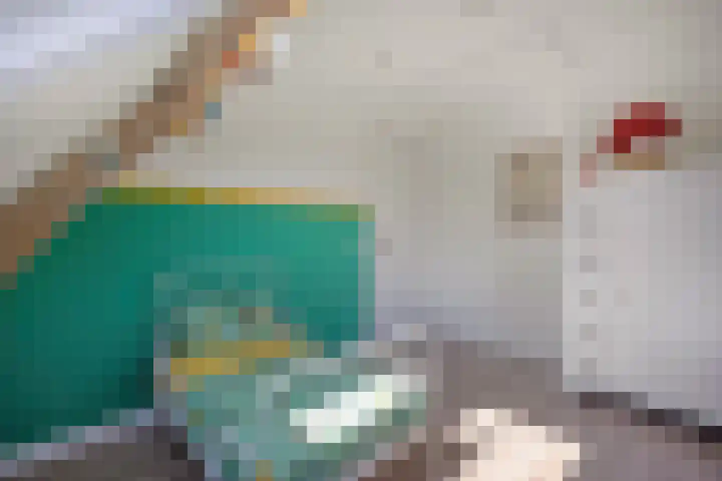 De Bree 23 Nieuwerbrug aan den Rijn thumbnail 38