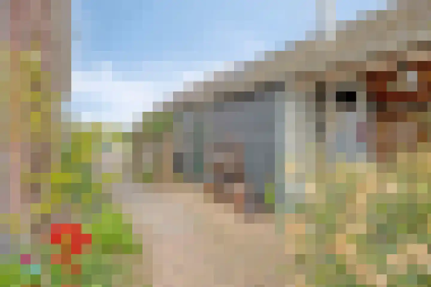 De Bree 23 Nieuwerbrug aan den Rijn thumbnail 48