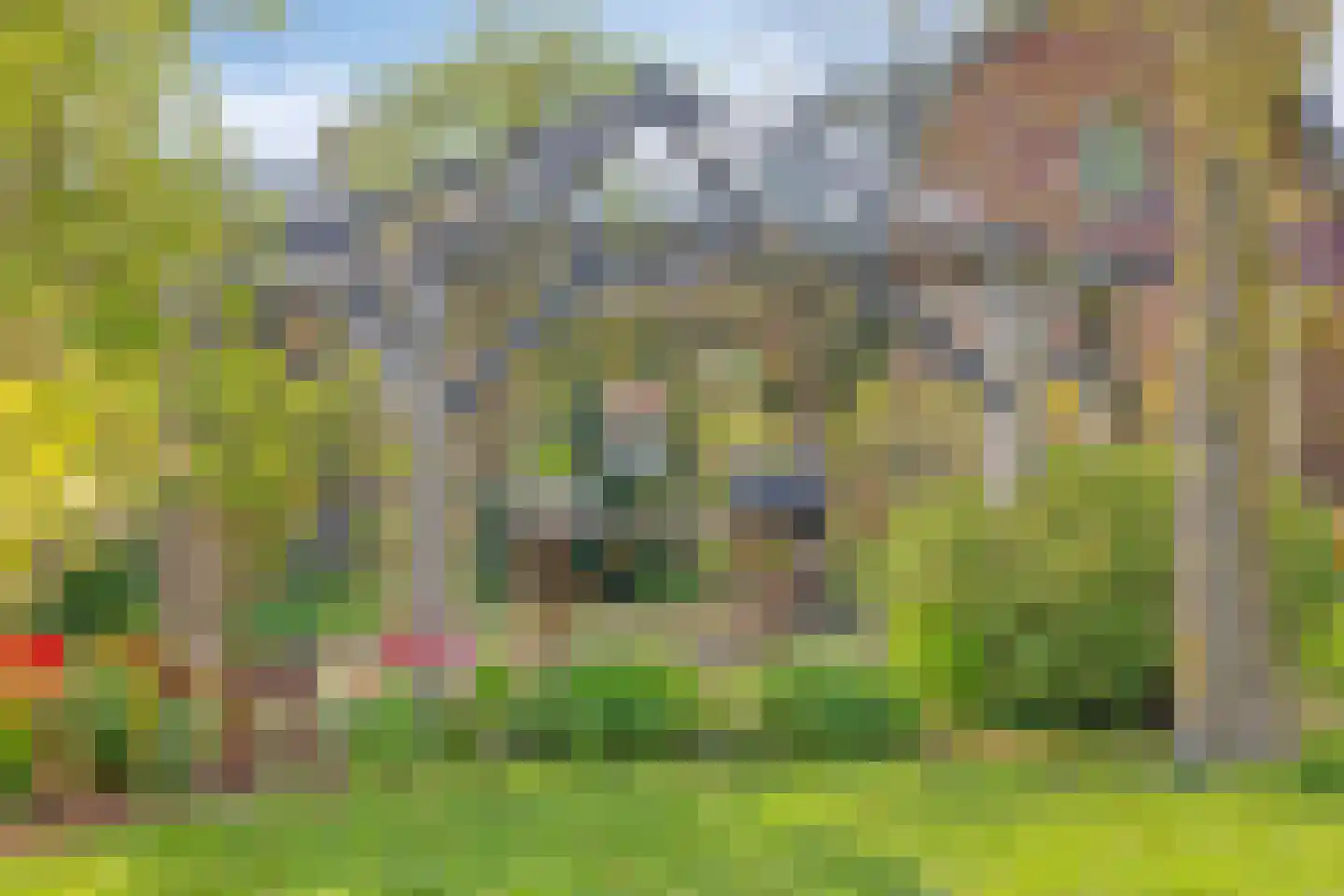 De Bree 23 Nieuwerbrug aan den Rijn thumbnail 58