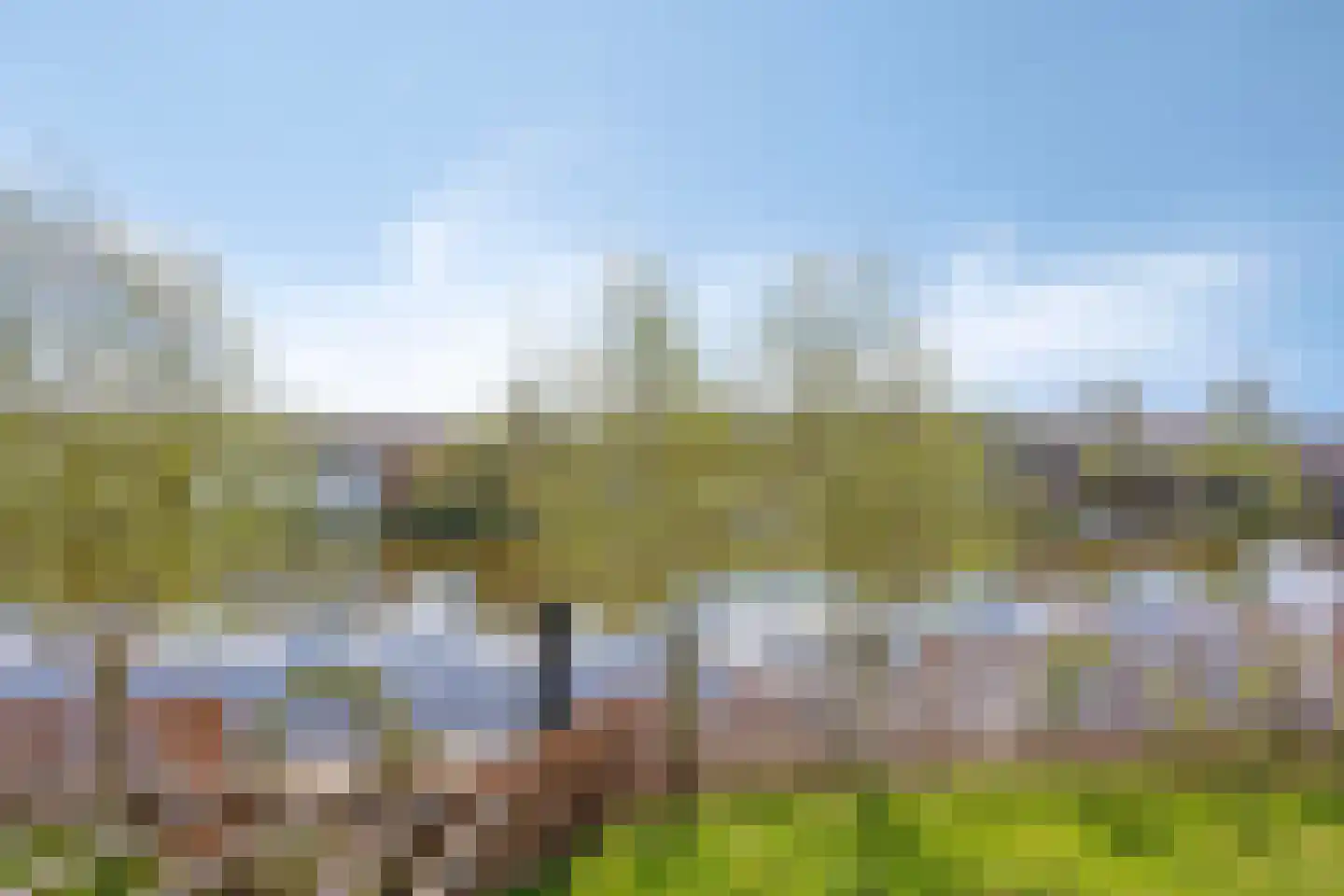 De Bree 23 Nieuwerbrug aan den Rijn thumbnail 62