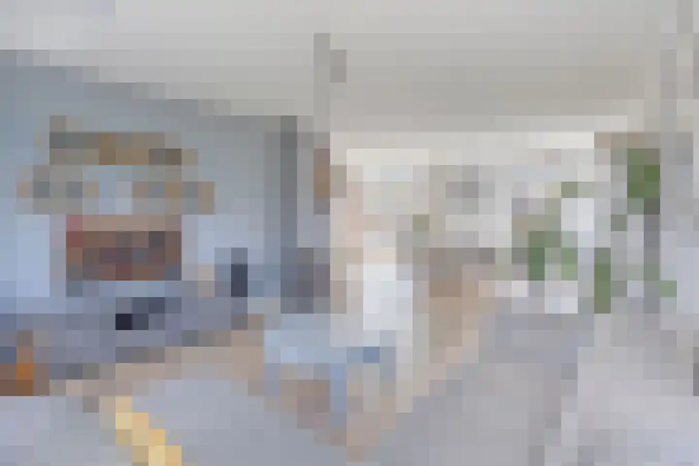 De Bree 23 Nieuwerbrug aan den Rijn thumbnail 9