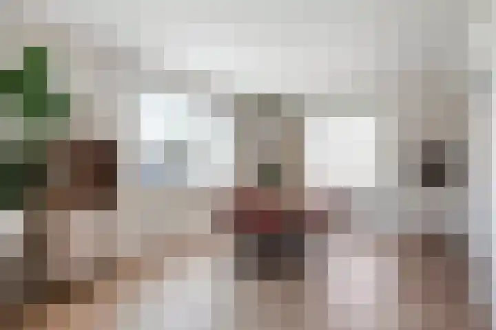 De Bree 30 Nieuwerbrug aan den Rijn thumbnail 12
