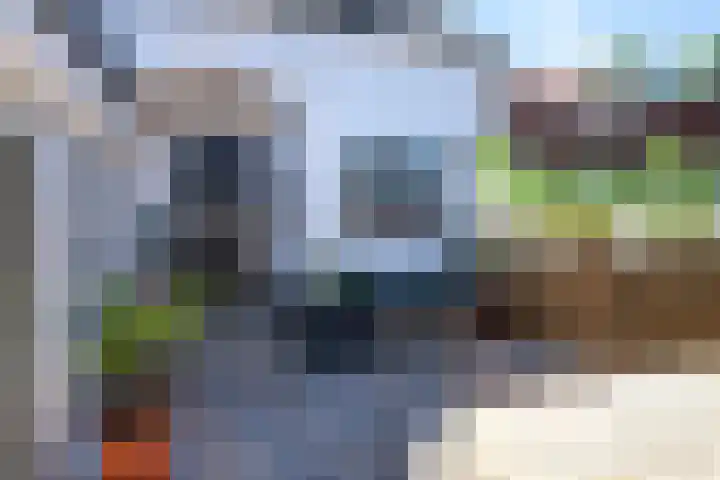 De Bree 30 Nieuwerbrug aan den Rijn thumbnail 36