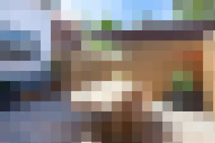 De Bree 30 Nieuwerbrug aan den Rijn thumbnail 41