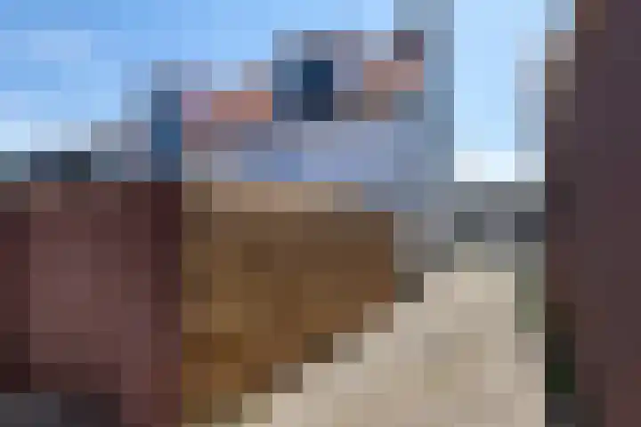 De Bree 30 Nieuwerbrug aan den Rijn thumbnail 44